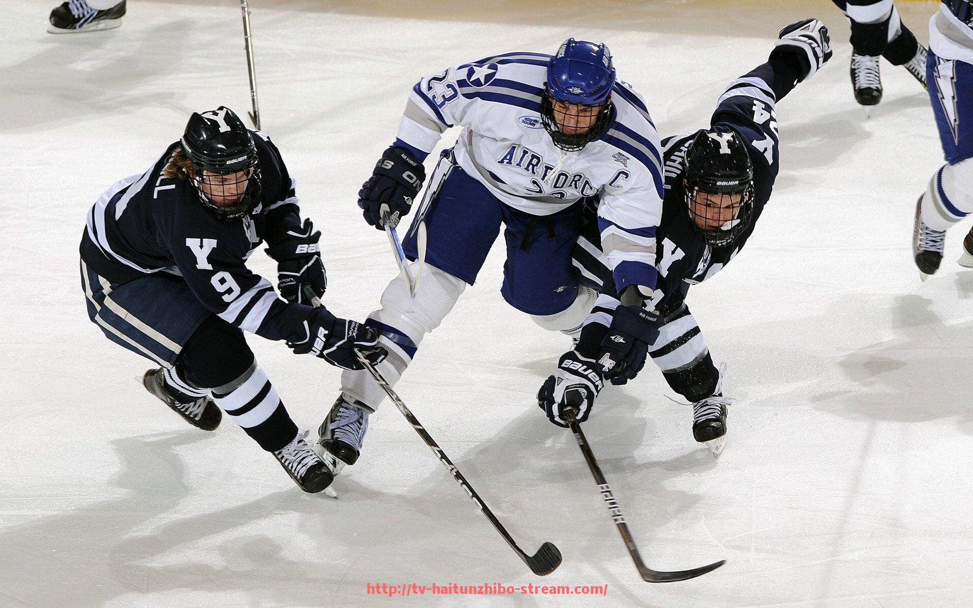 海豚直播-欧冠比赛全程直播安排：不间断赛季追踪计划