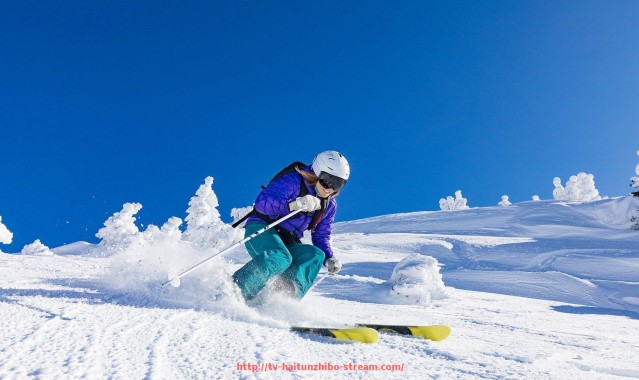 海豚直播-巴西甲联赛赛程及爱彩赛事预测分析