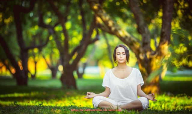 海豚直播-滨州康乐佳健身器材公司产品与服务一览